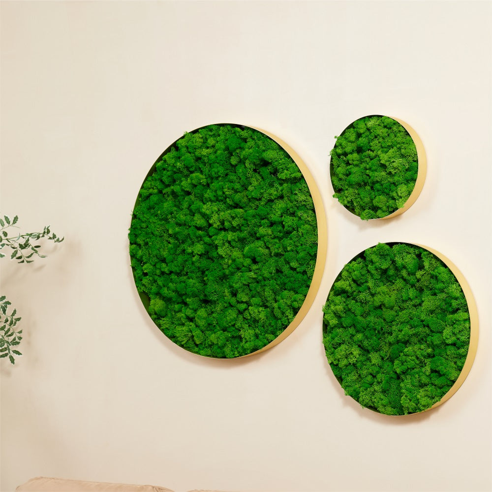 Round Framed Moss Wall Decor, only the Large