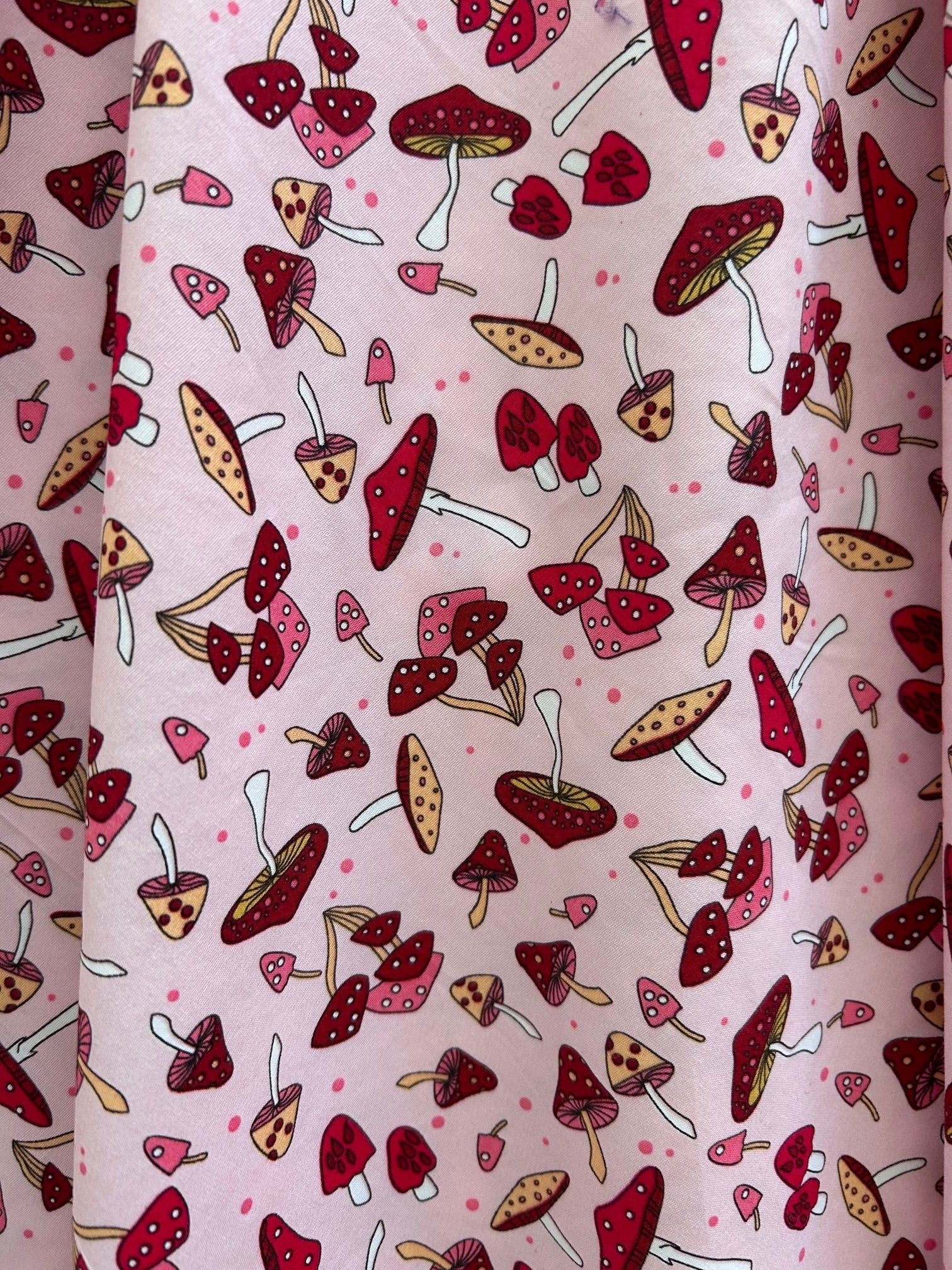 Toadstool Vintage Dress