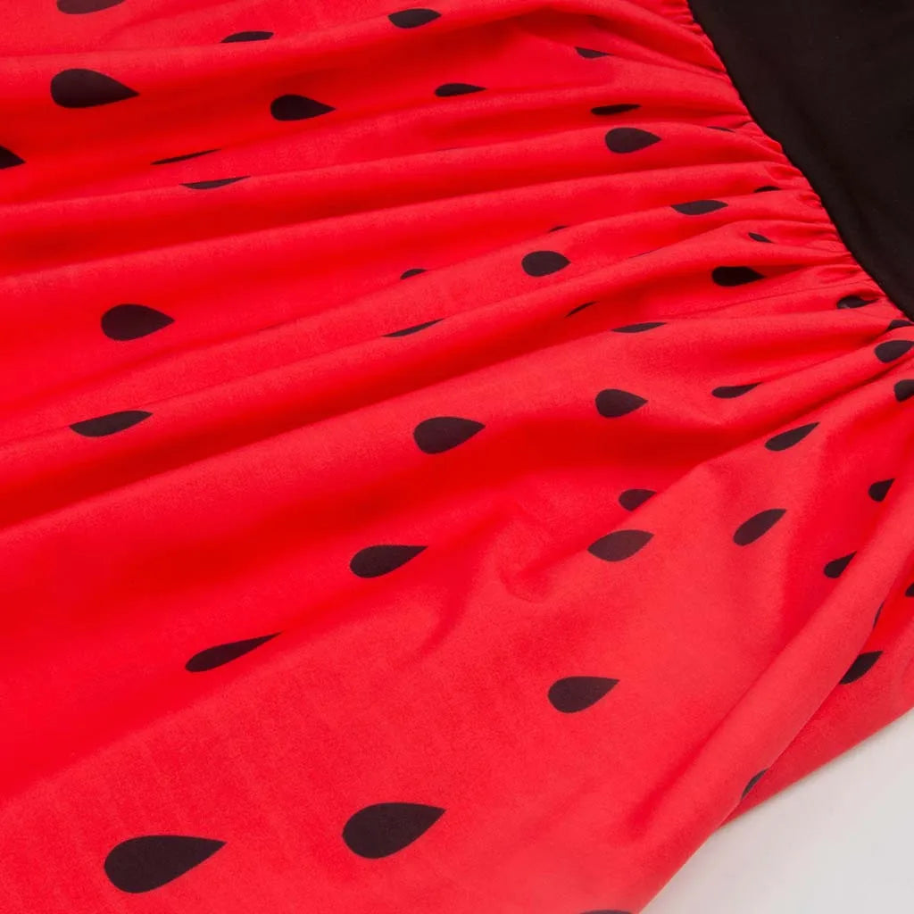 Watermelon Print Fit and Flare Dress