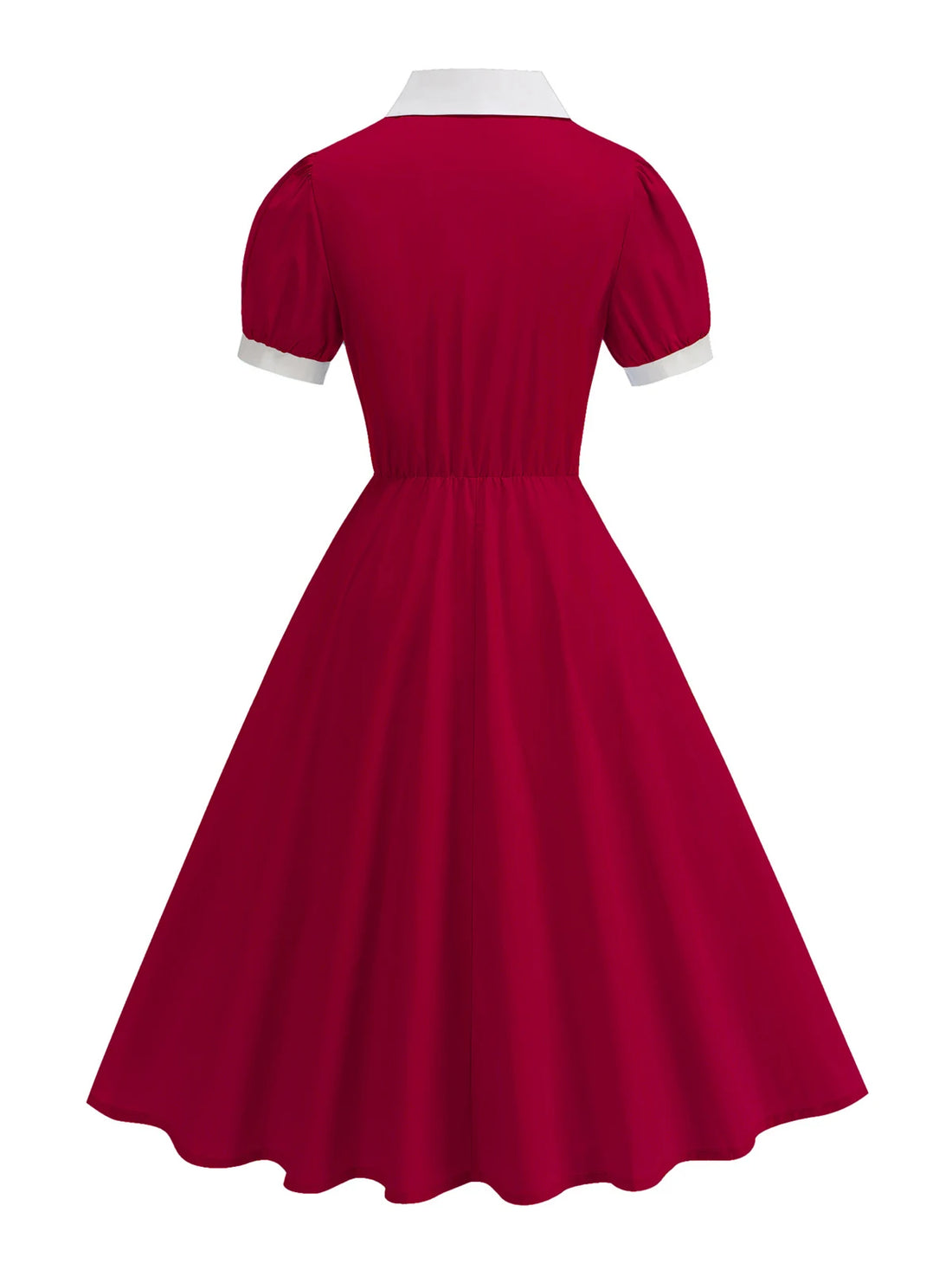 Lace Trim Contrast Collar Fit & Flare Dress