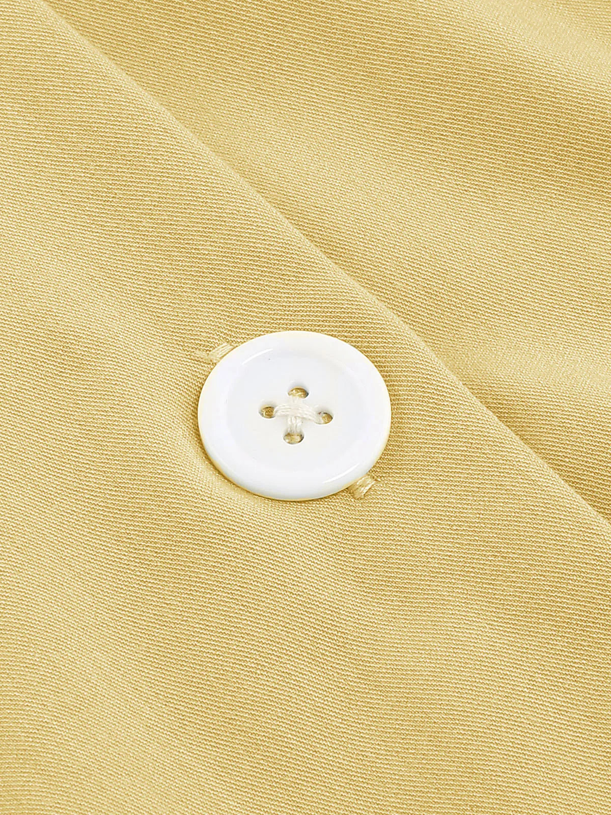 Contrast Collar Button Front Fit & Flare Dress