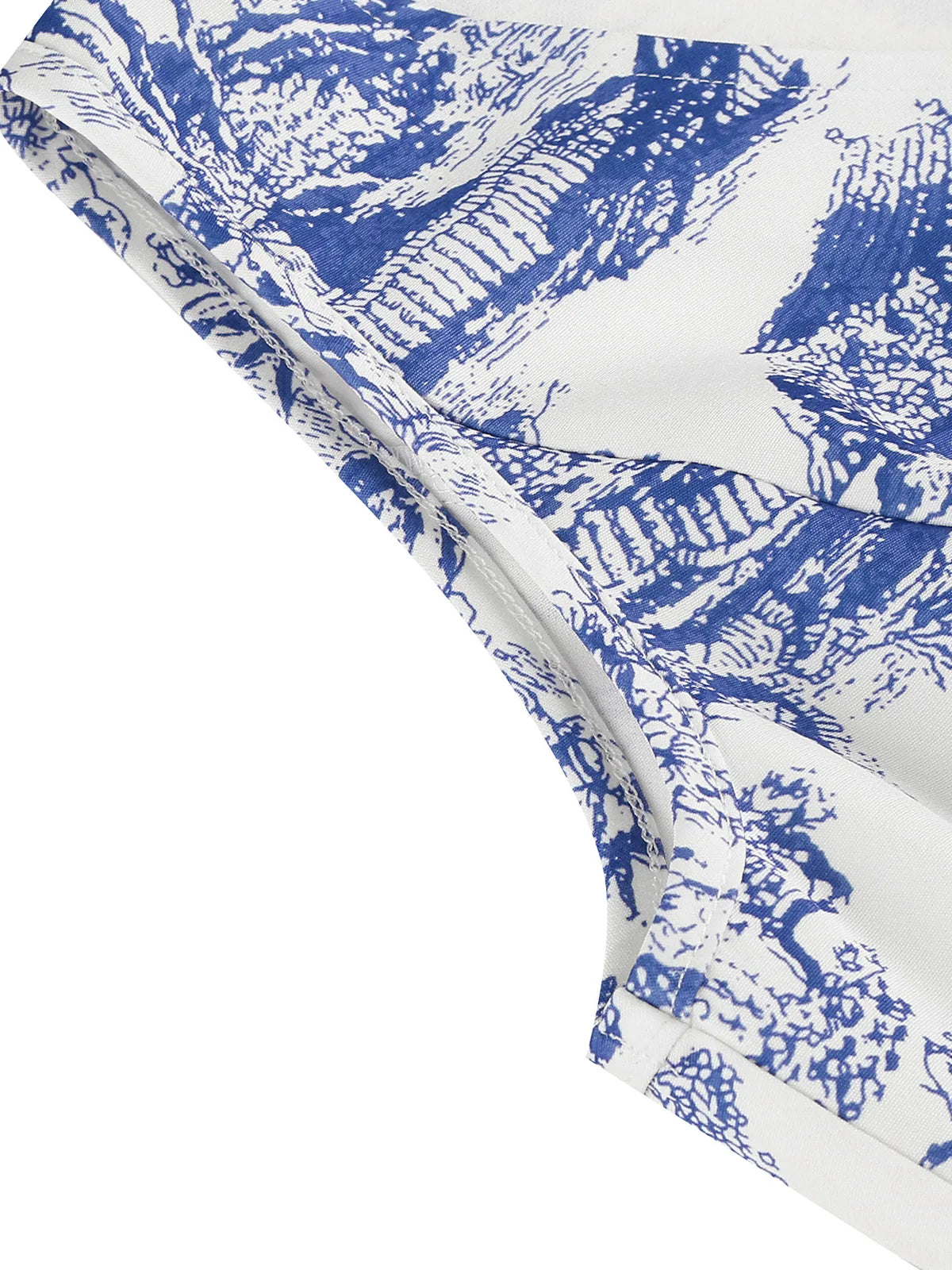 Scenic Print Belted Fit & Flare Dress