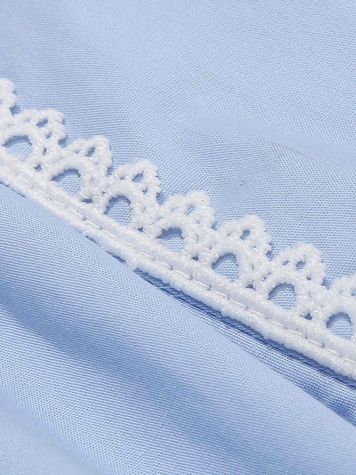 Lace Trim Contrast Collar Fit & Flare Dress