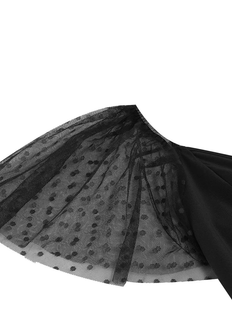 Sheer Mesh Sleeve Fit and Flare Midi Dress