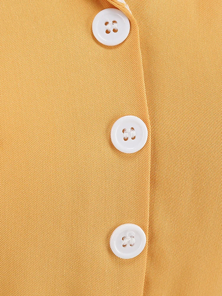 Contrast Trim Button-Front Fit & Flare Dress