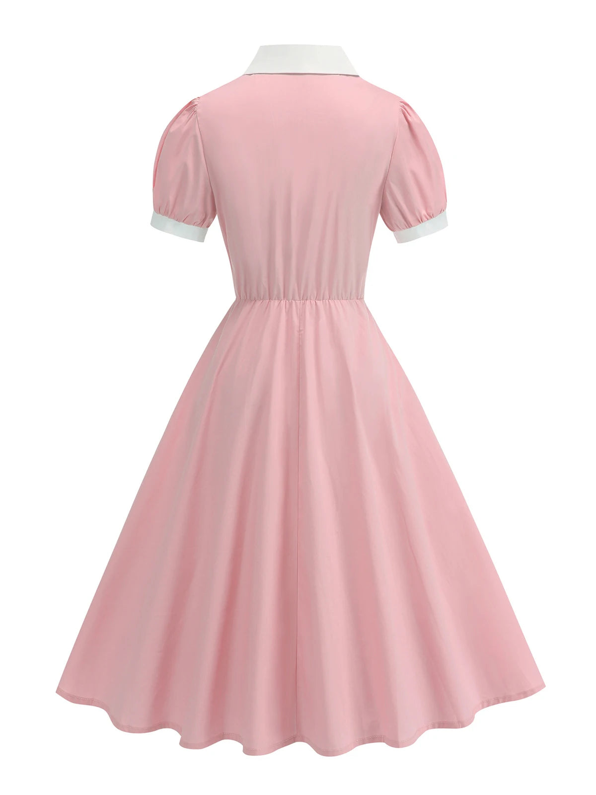 Lace Trim Contrast Collar Fit & Flare Dress