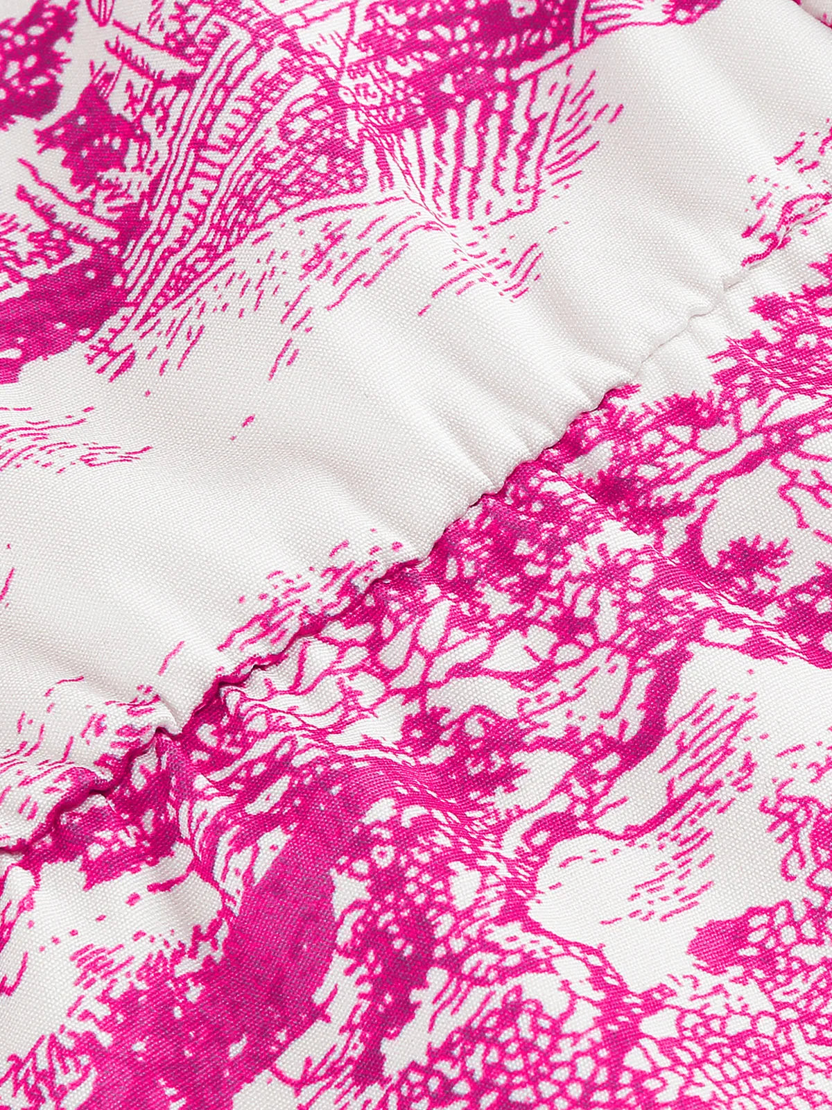 Scenic Print Belted Fit & Flare Dress