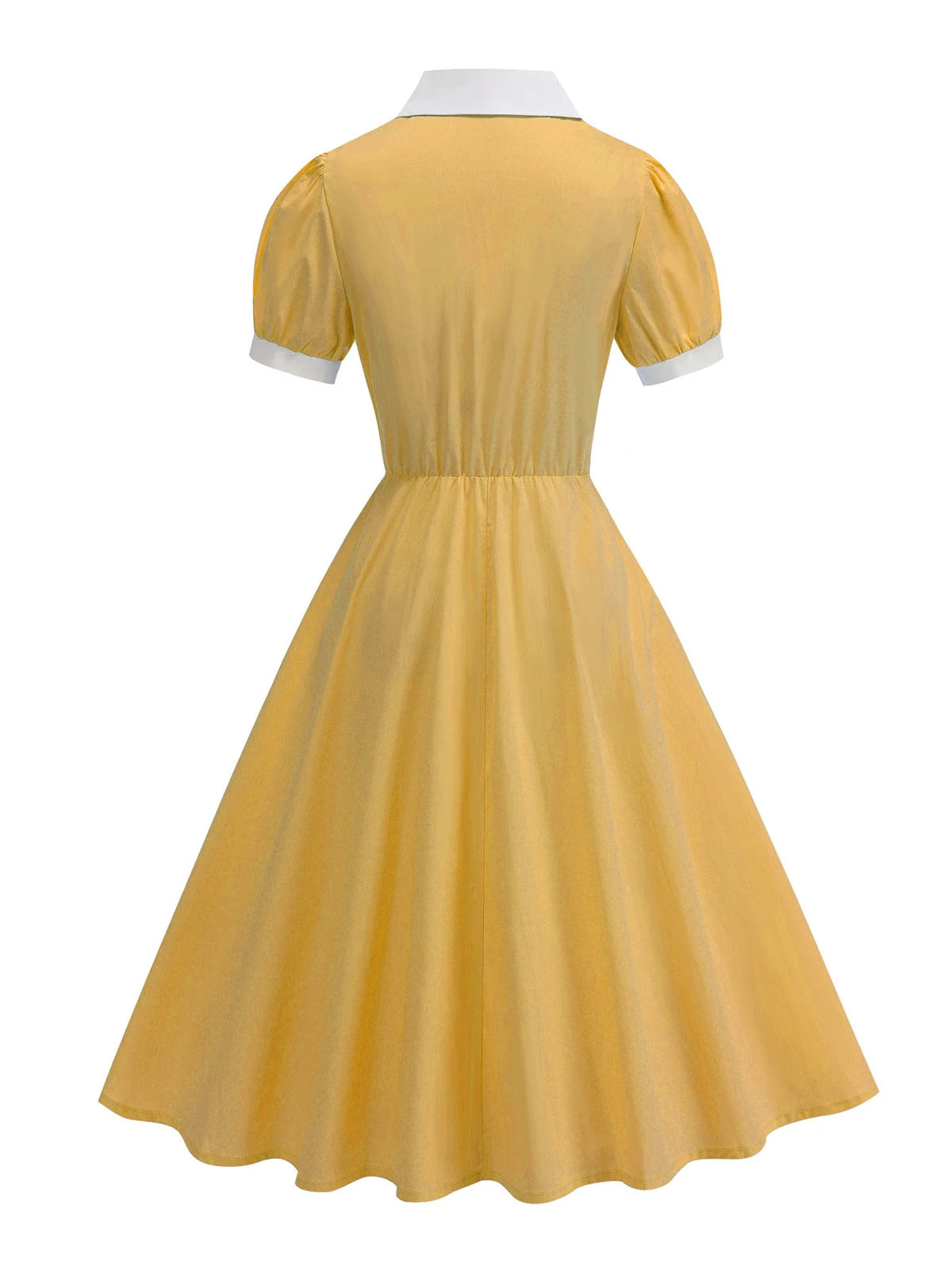Lace Trim Contrast Collar Fit & Flare Dress