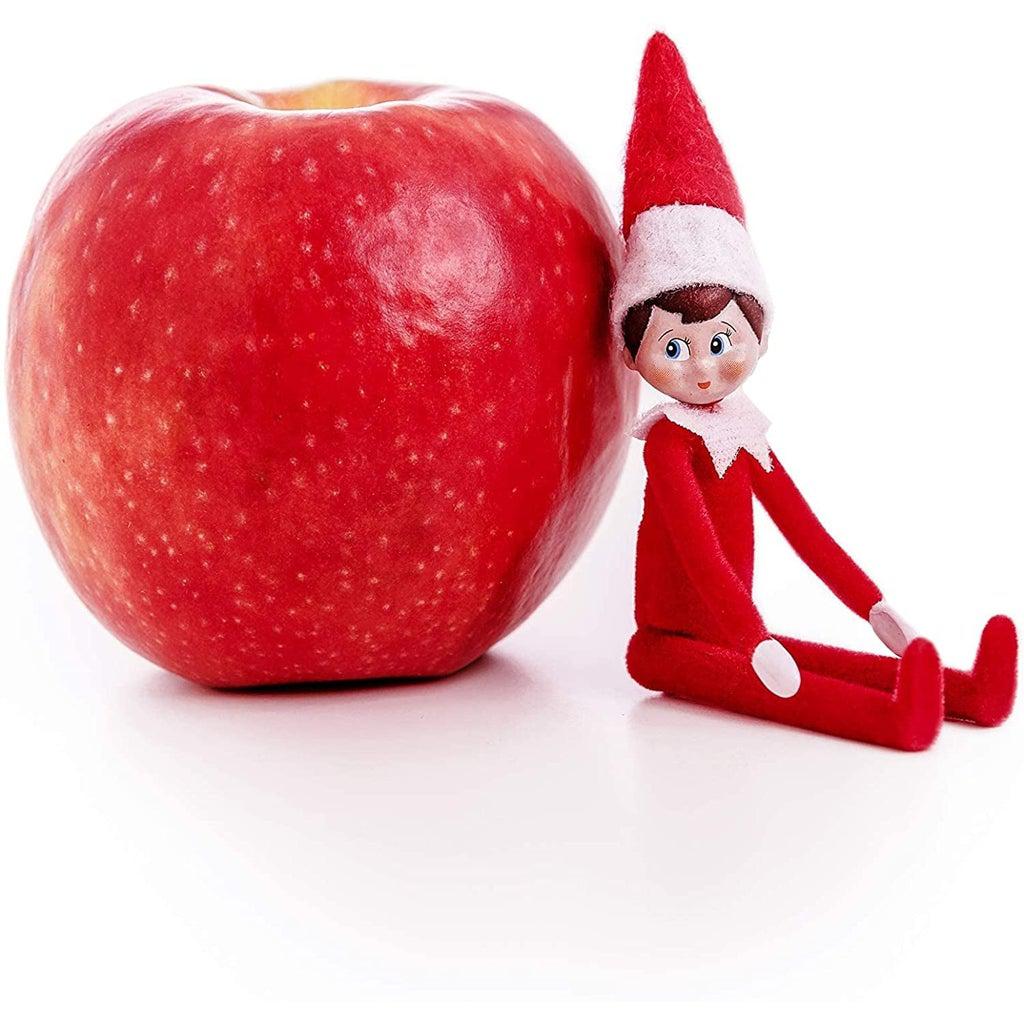 World's Smallest Elf on the Shelf