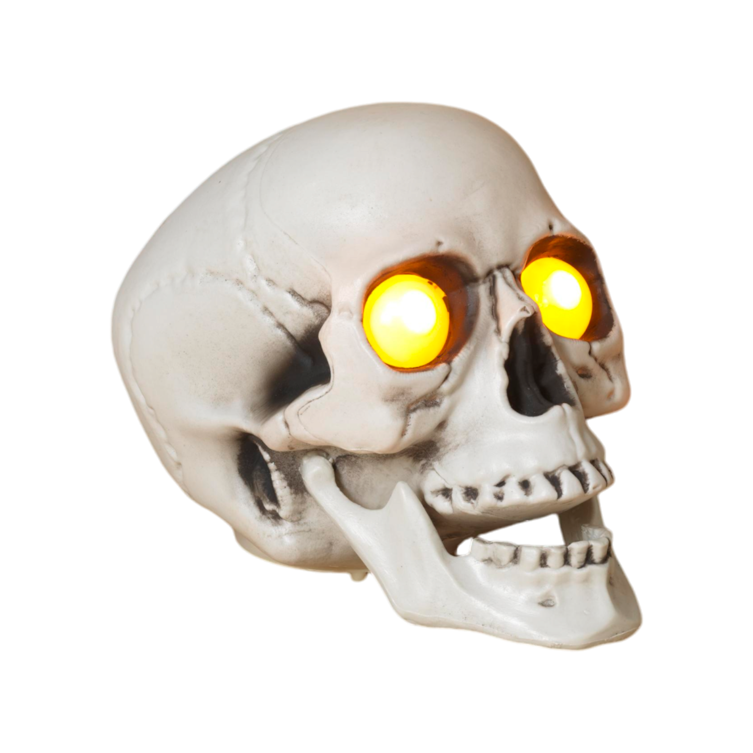 Lighted Halloween Skull with Sound