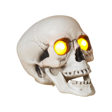 Lighted Halloween Skull with Sound