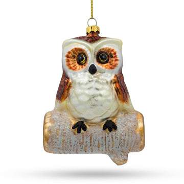 Wise Owl Sitting on a Branch Glass Christmas Ornament